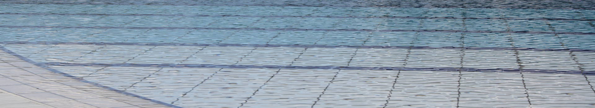 Isola d'Elba: Mauro Basile piscine